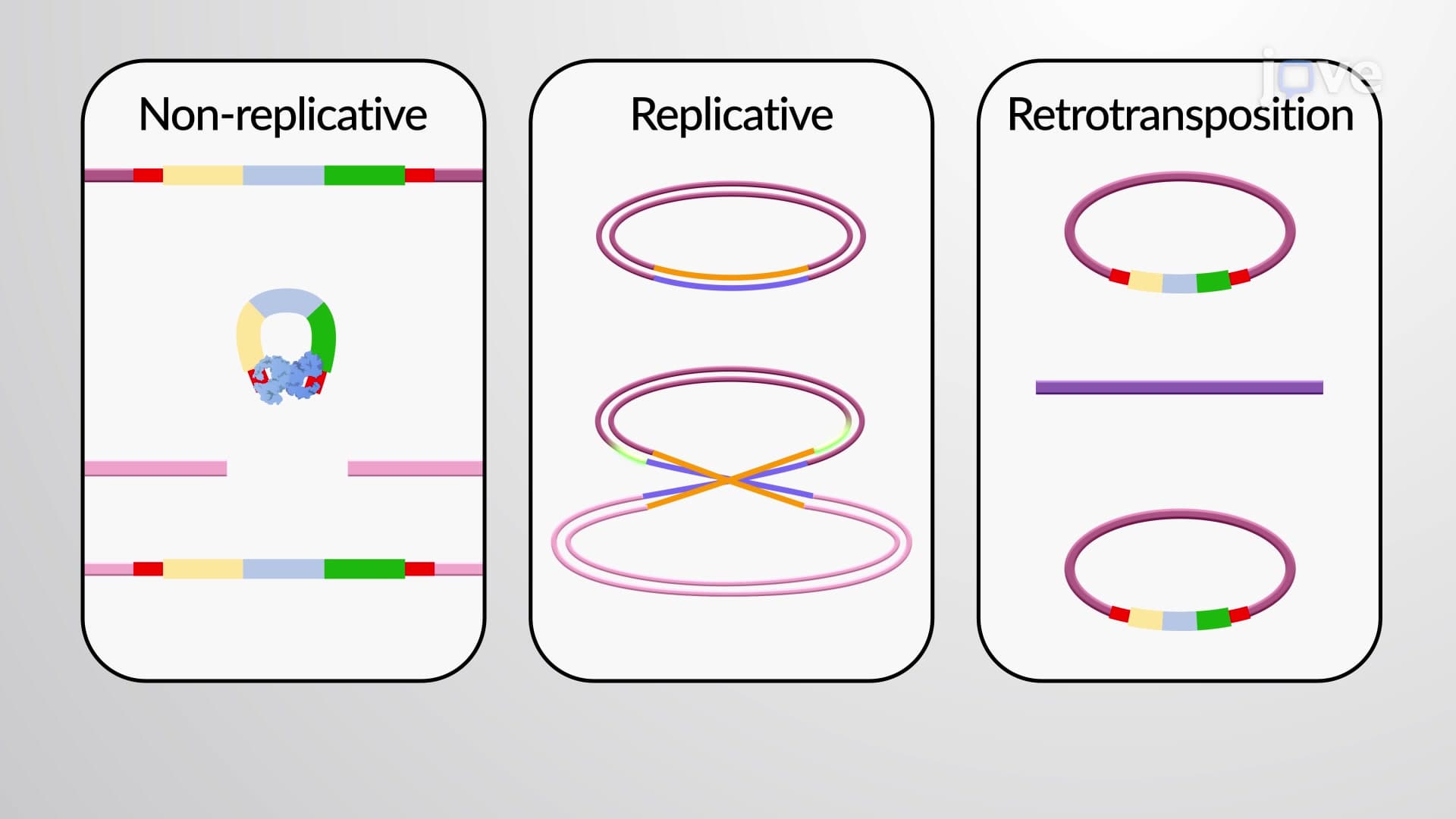 Overview of Transposition and Recombination