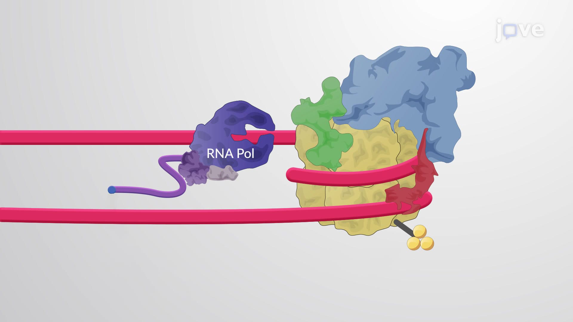 Chromatin Structure and RNA Splicing