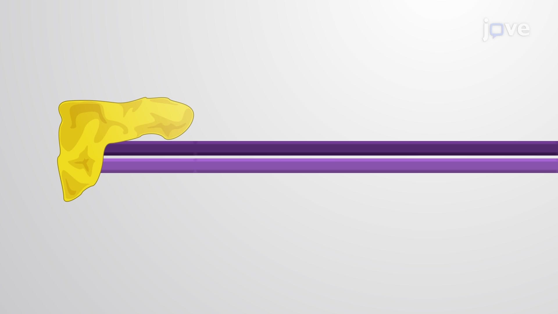 siRNA - Small Interfering RNAs