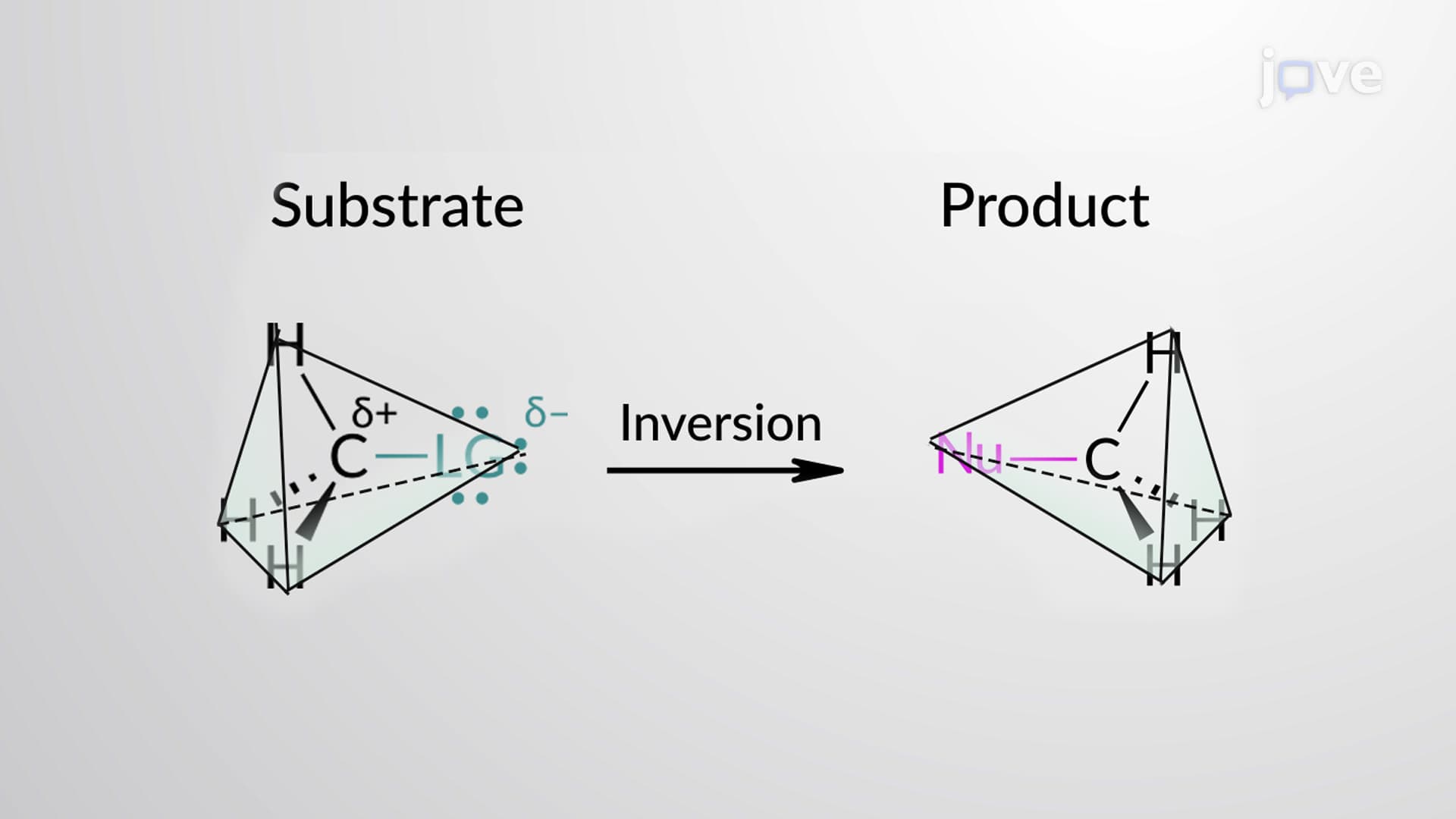SN2 Reaction: Stereochemistry