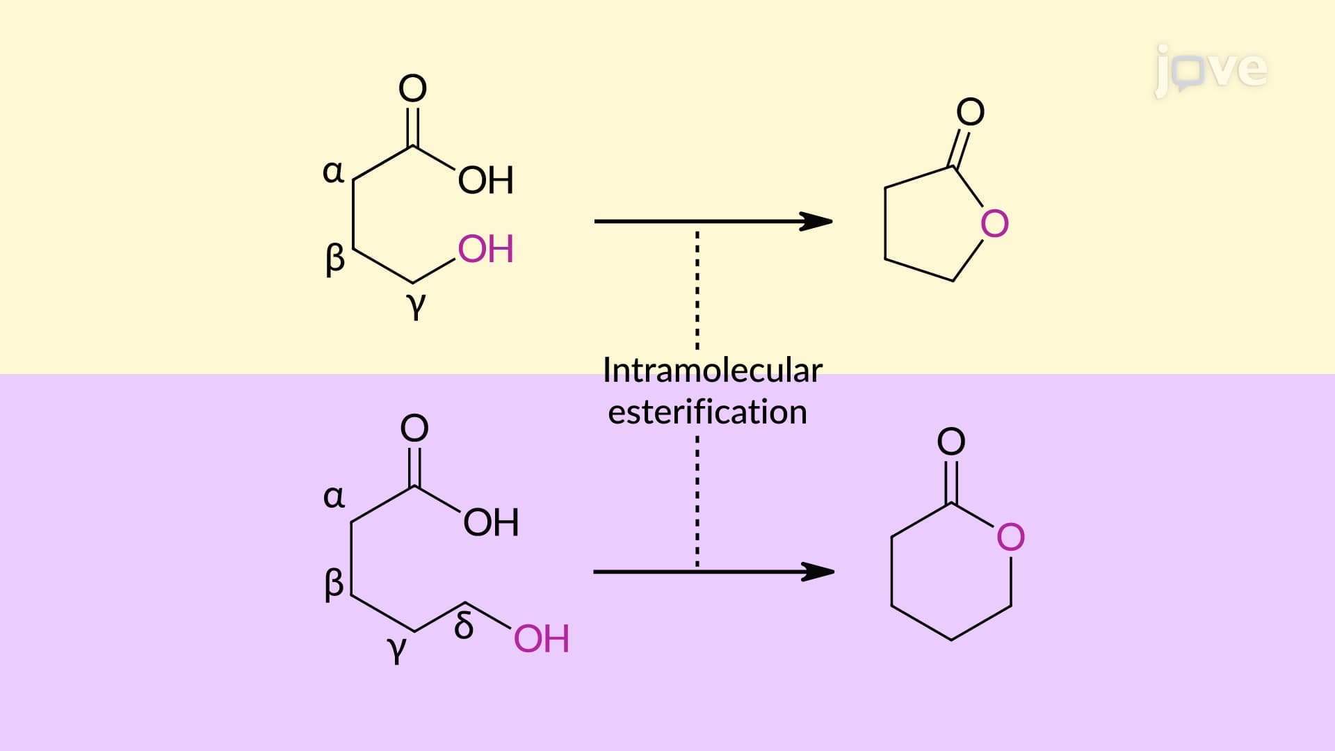 Carboxylic Acids to Esters: Acid-Catalyzed (Fischer) Esterification Overview