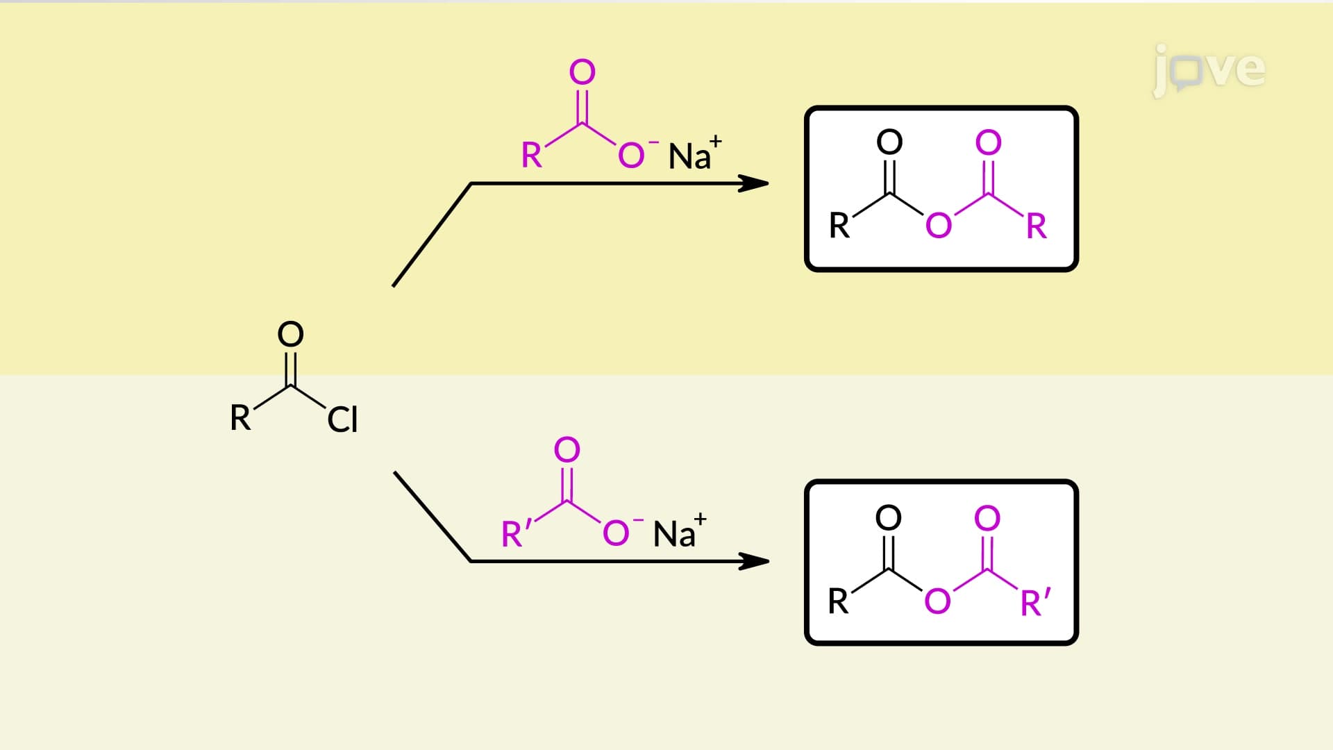 Preparation of Acid Anhydrides