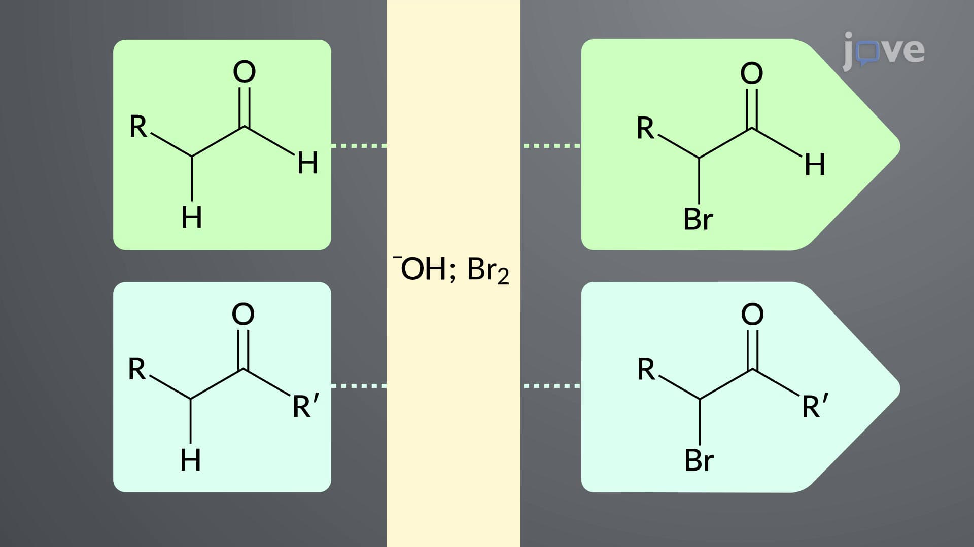 Base-Promoted α-Halogenation of Aldehydes and Ketones
