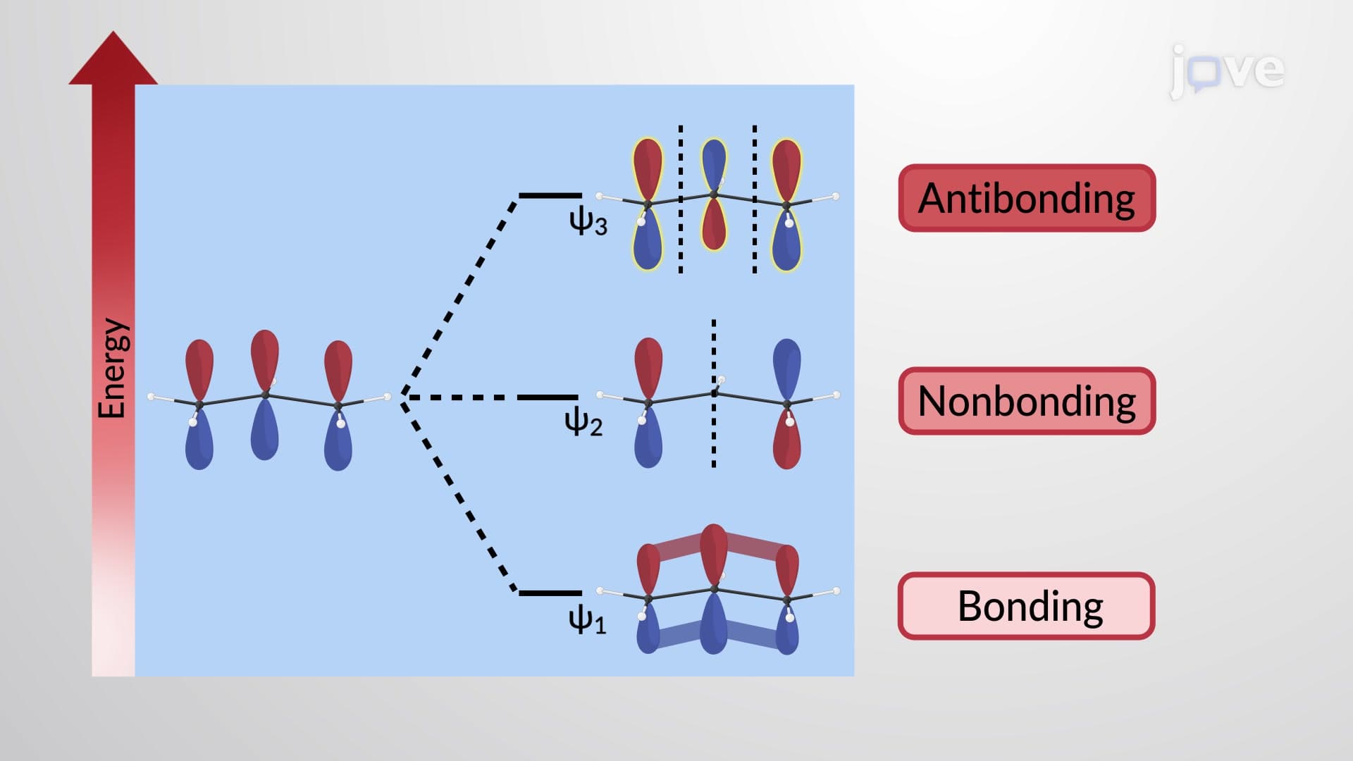 π Molecular Orbitals of the Allyl Cation and Anion