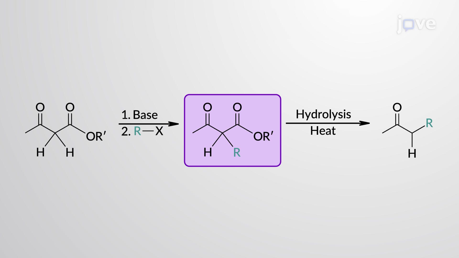Alkylation of β-Ketoester Enolates: Acetoacetic Ester Synthesis