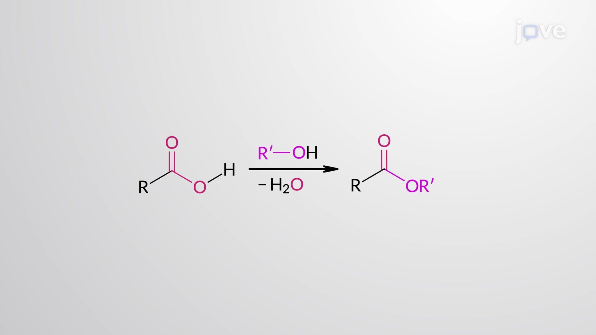 Carboxylic Acids to Esters: Acid-Catalyzed (Fischer) Esterification Mechanism
