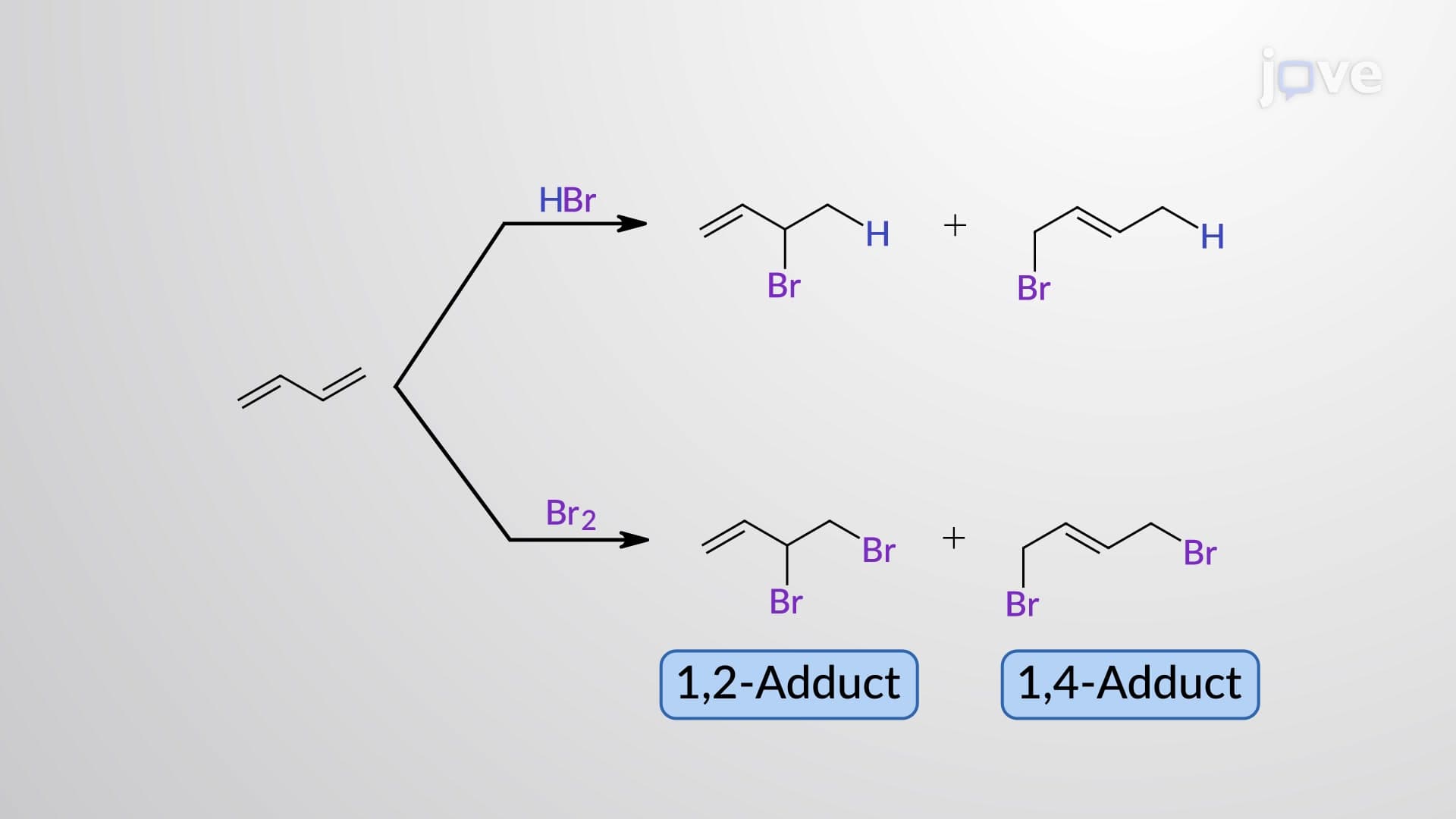 Electrophilic 1,2- and 1,4-Addition of X2 to 1,3-Butadiene