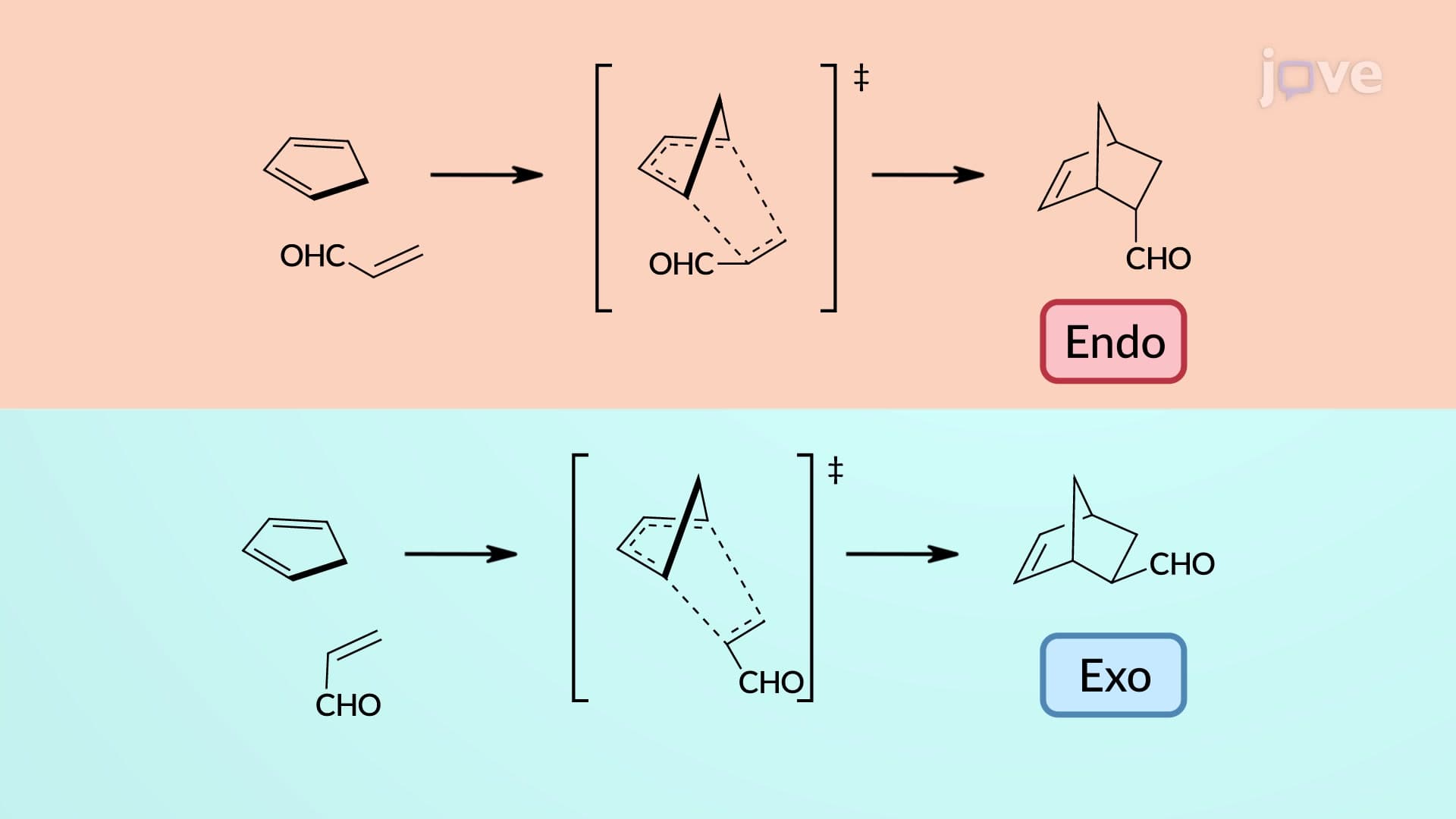 Diels–Alder Reaction Forming Bridged Bicyclic Products: Stereochemistry