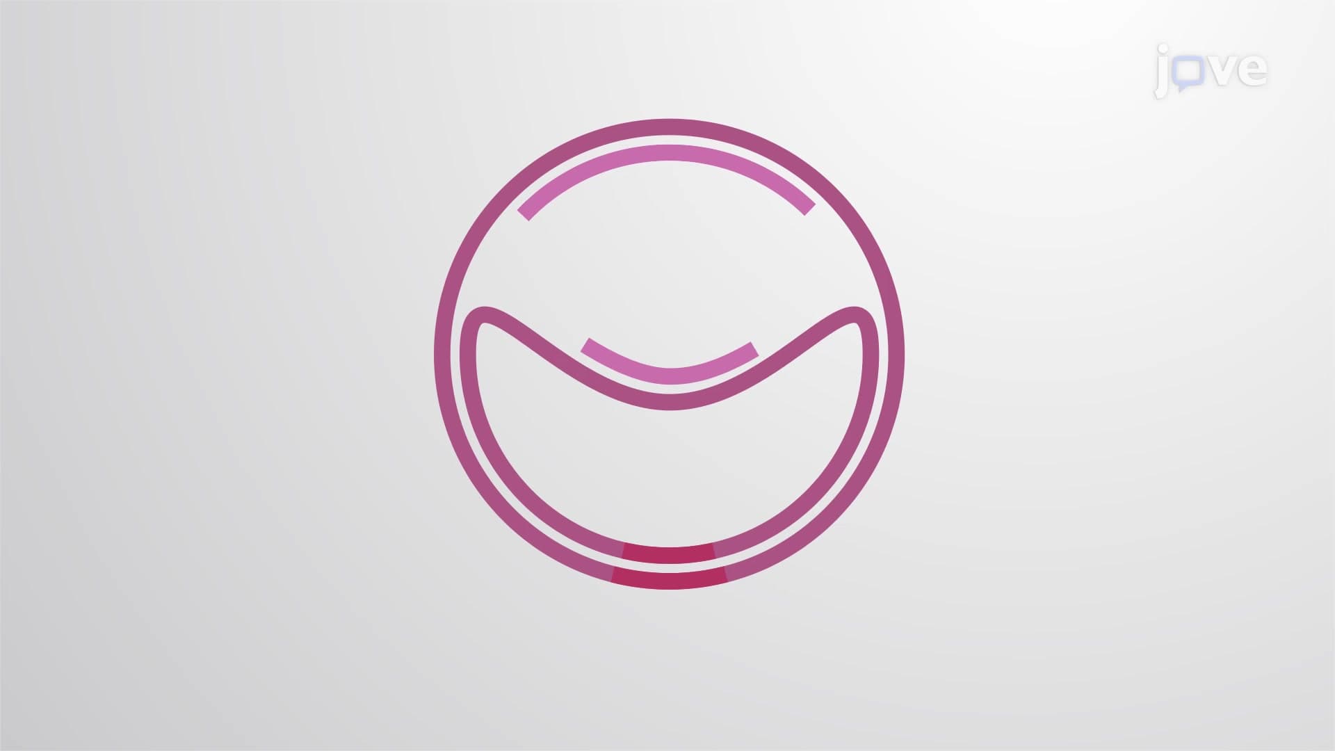 Prokaryotic DNA Replication