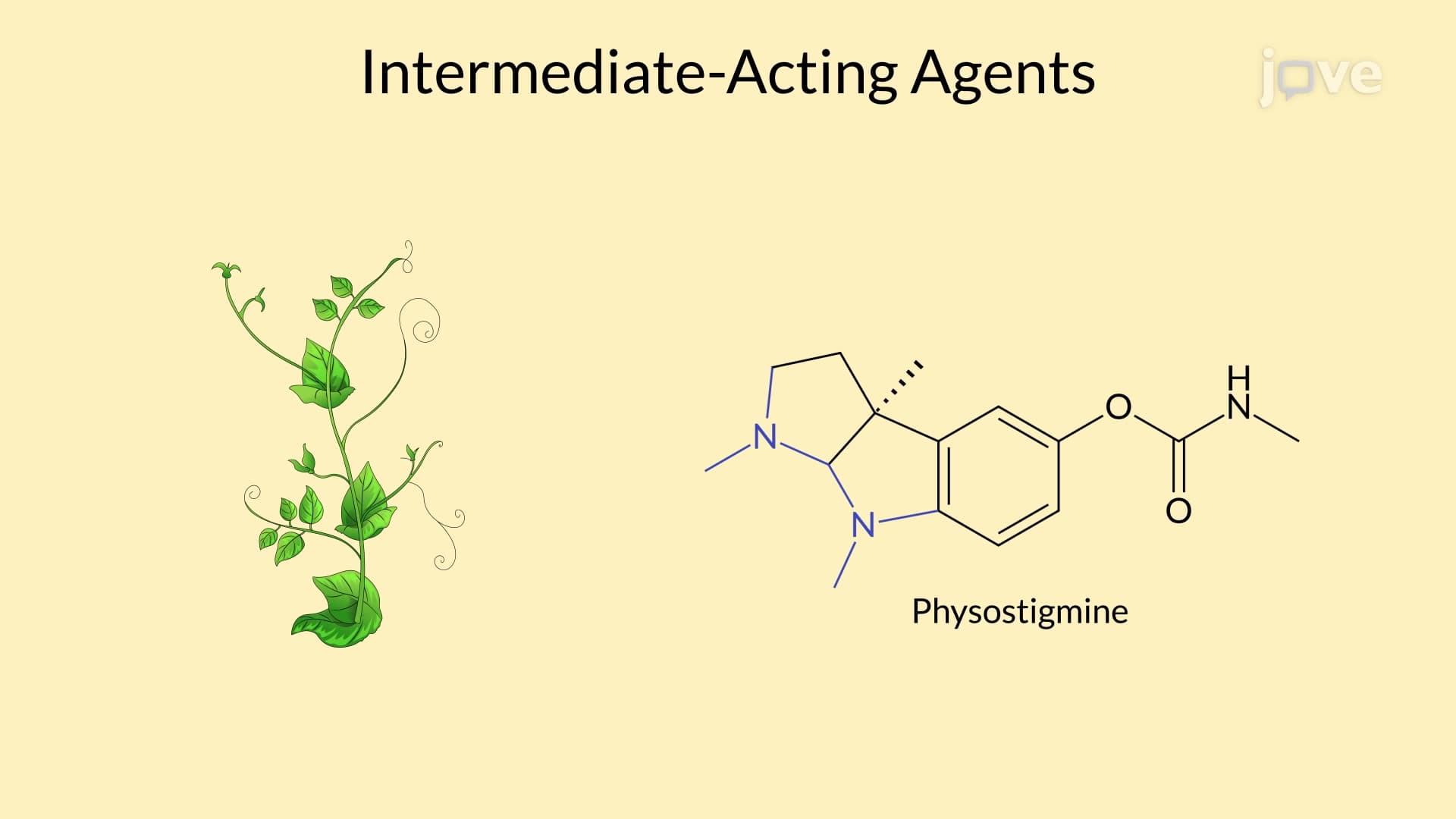 Indirect-Acting Cholinergic Agonists: Chemistry and Structure-Activity Relationship