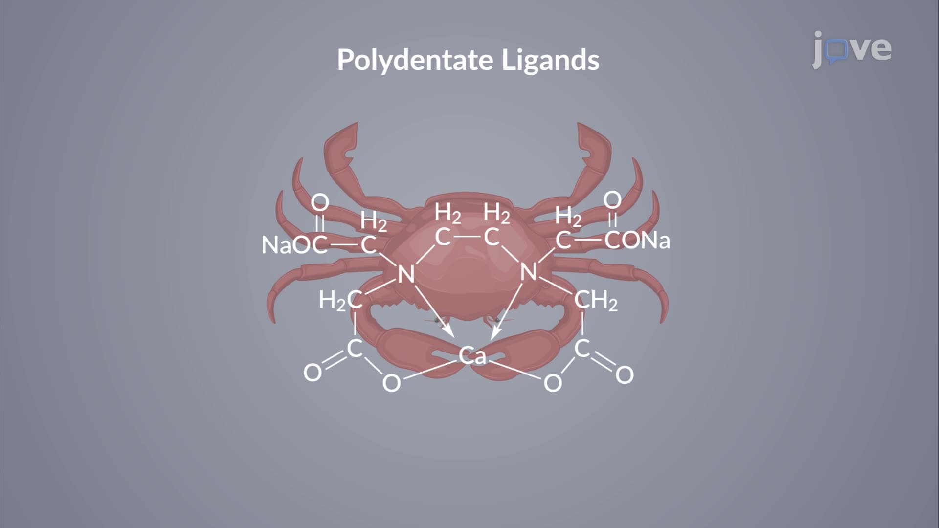 Complexation Equilibria: The Chelate Effect