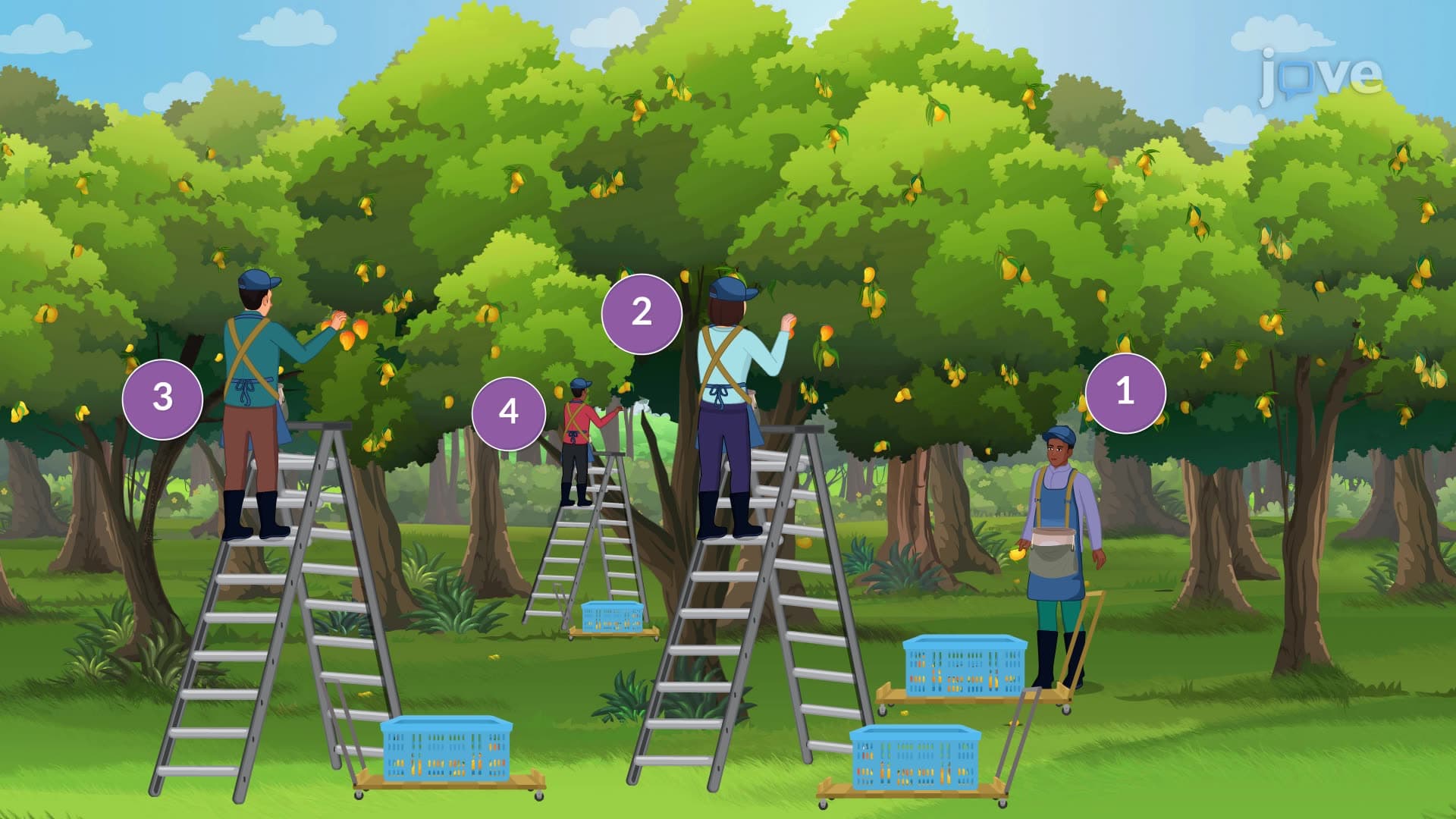 The Competitive Firm's Decision to Hire Labor